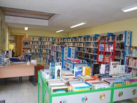 Les livres Adultes de la bibliothèque